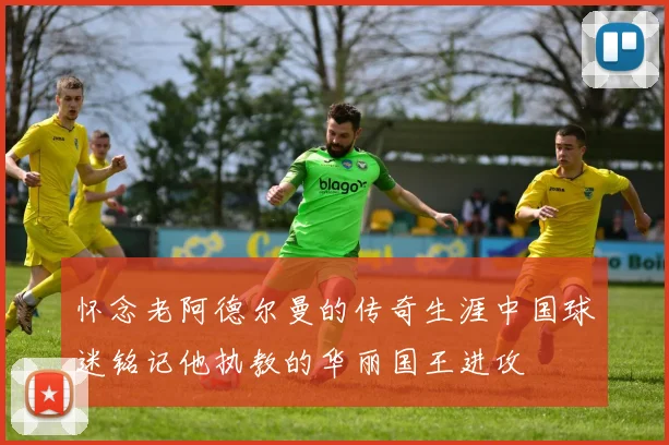 怀念老阿德尔曼的传奇生涯中国球迷铭记他执教的华丽国王进攻